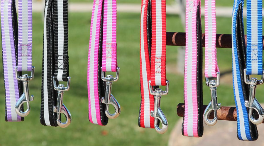 Leash Guide