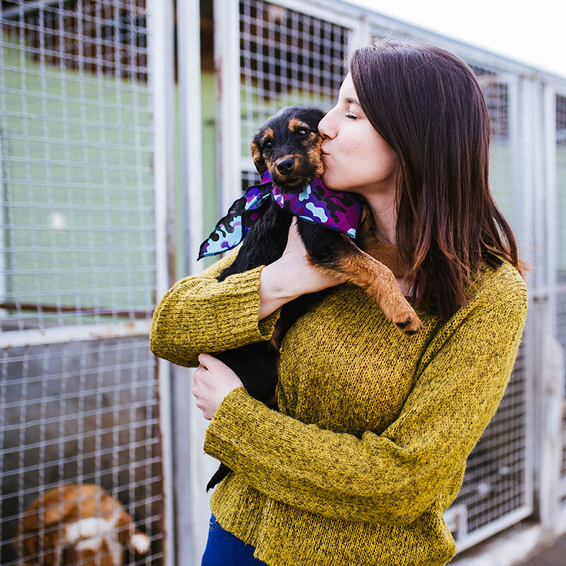 How To Make a Difference on Change a Pet's Life Day