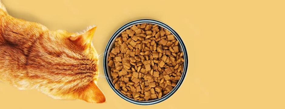 The Truth About Grain-Free Cat Food: Separating Fact from Fiction