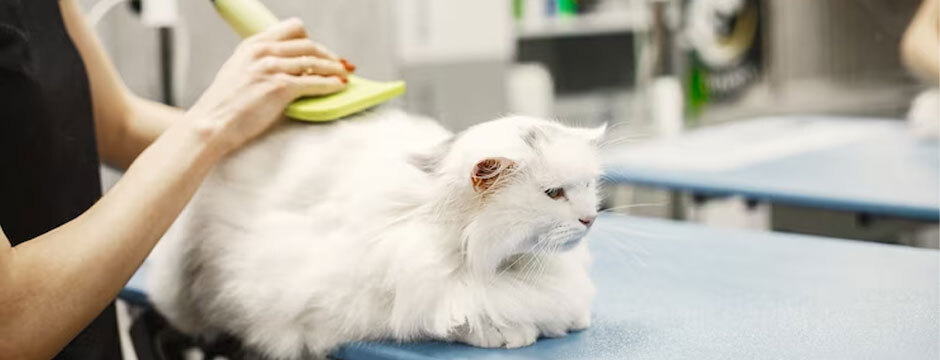 The Benefits of Cat Grooming: Ensuring the Health and Happiness of Your Feline Friend