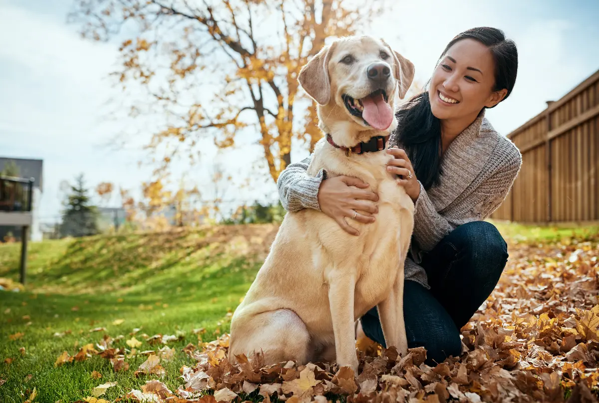 The Ultimate Pet Supplement Guide