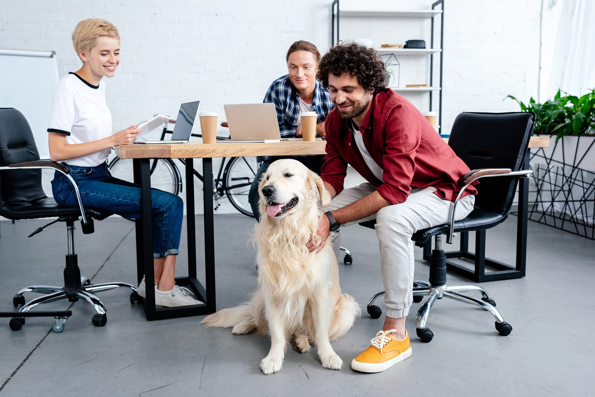 9 Benefits of a Dog-Friendly Workplace