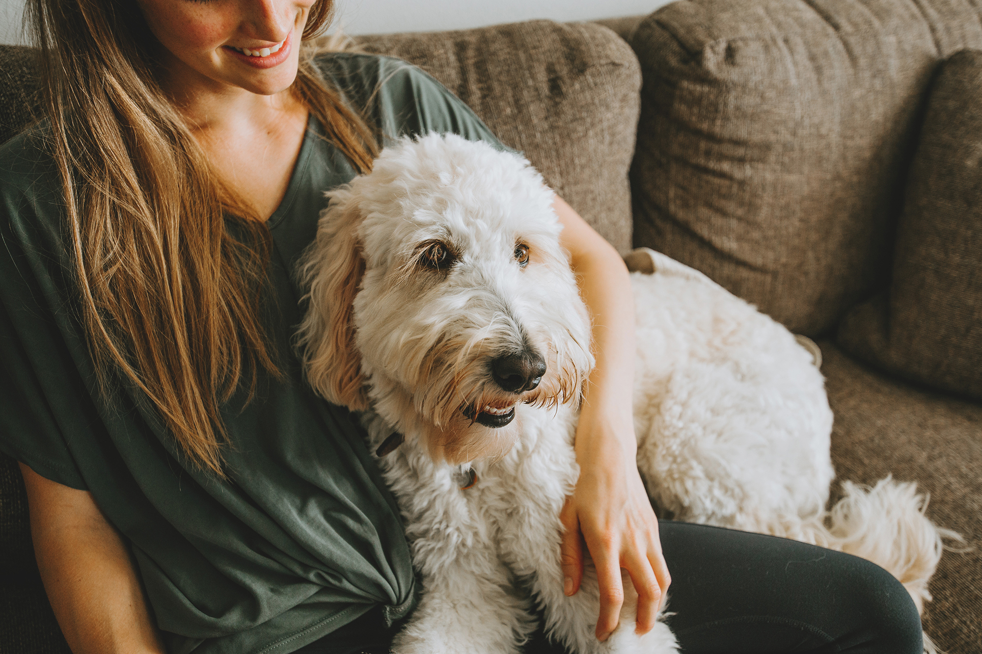 How To Become a Professional Pet Sitter