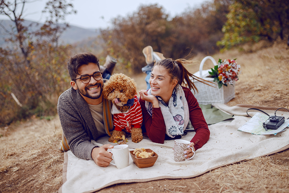Dating With Pets: How To Introduce a New Romantic Partner to Your Furry Loved One