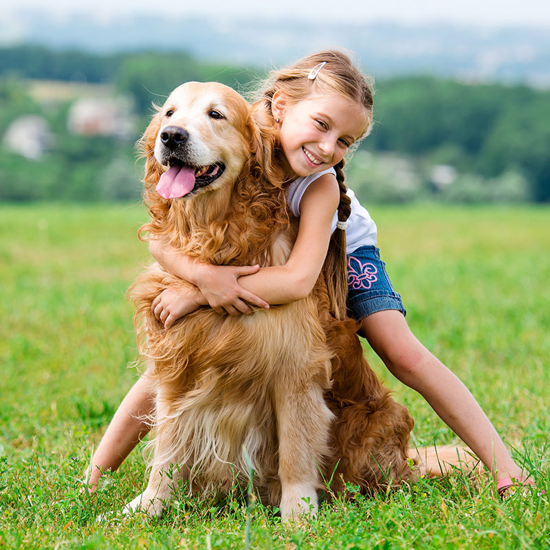 Be Kind to Animals Week: What It Is and How You Can Celebrate