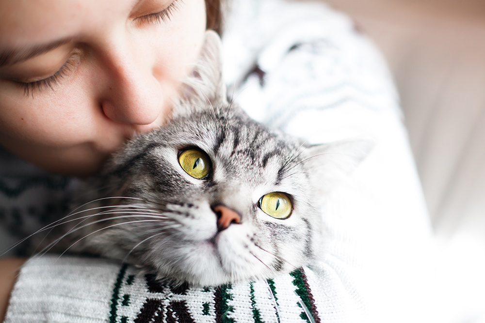 8 Gift Ideas for the Cat Lover in Your Life