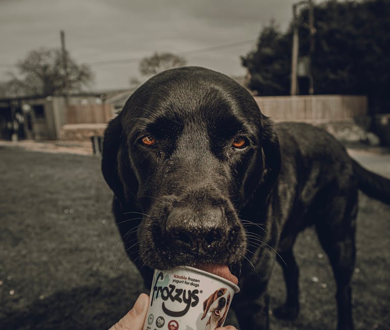 Canine Natural Treats: A Roundup of Wholesome Goodies for Your Furry Friend