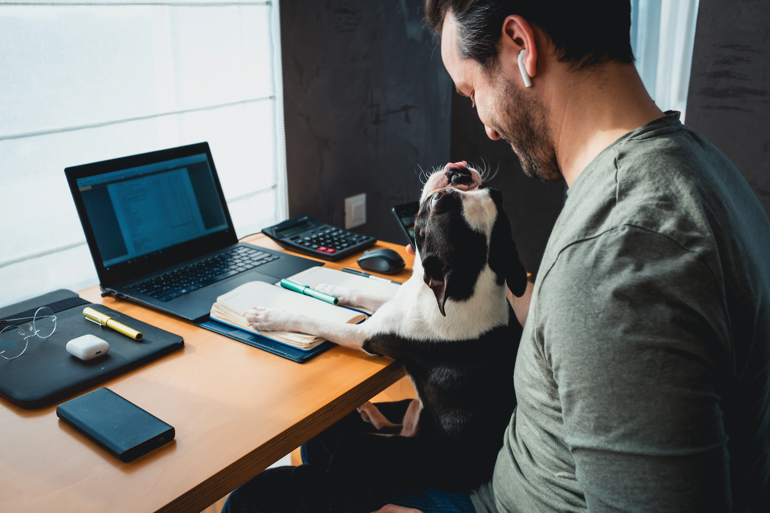 5 Tips for Working Remotely With Pets