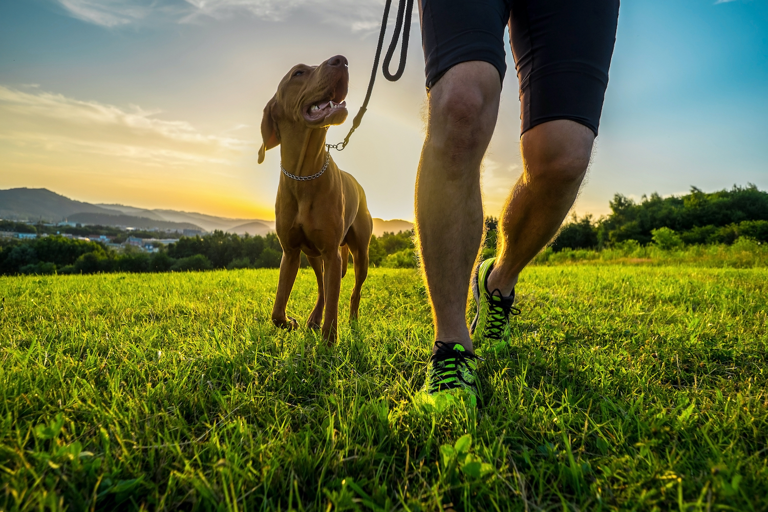 How To Exercise With Your Dog