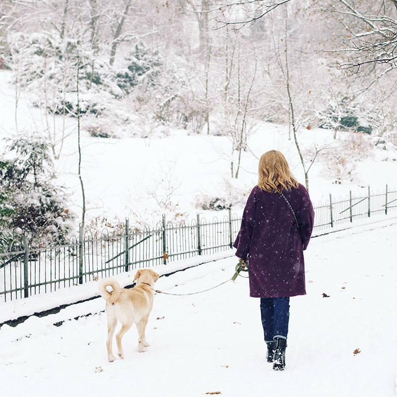 8 Tips for Safe Winter Walks