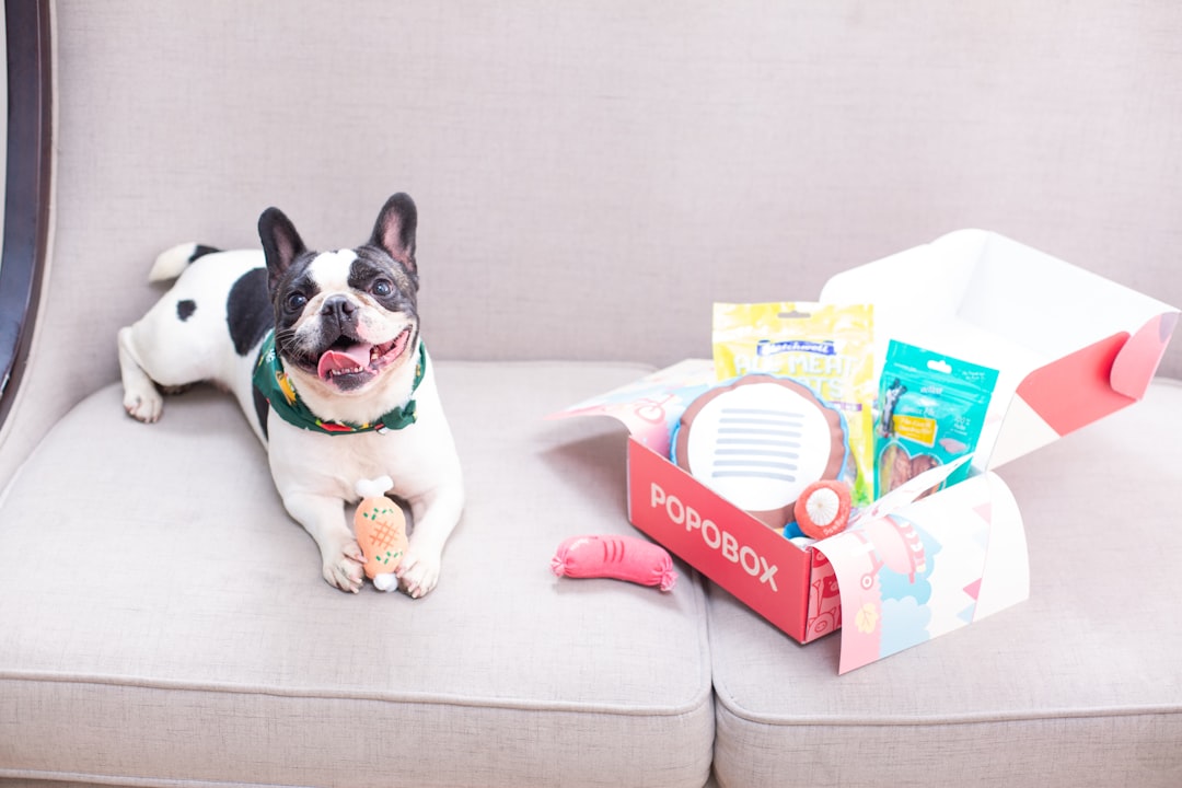 Dog Food Coupons Online: Your Ticket to Massive Savings