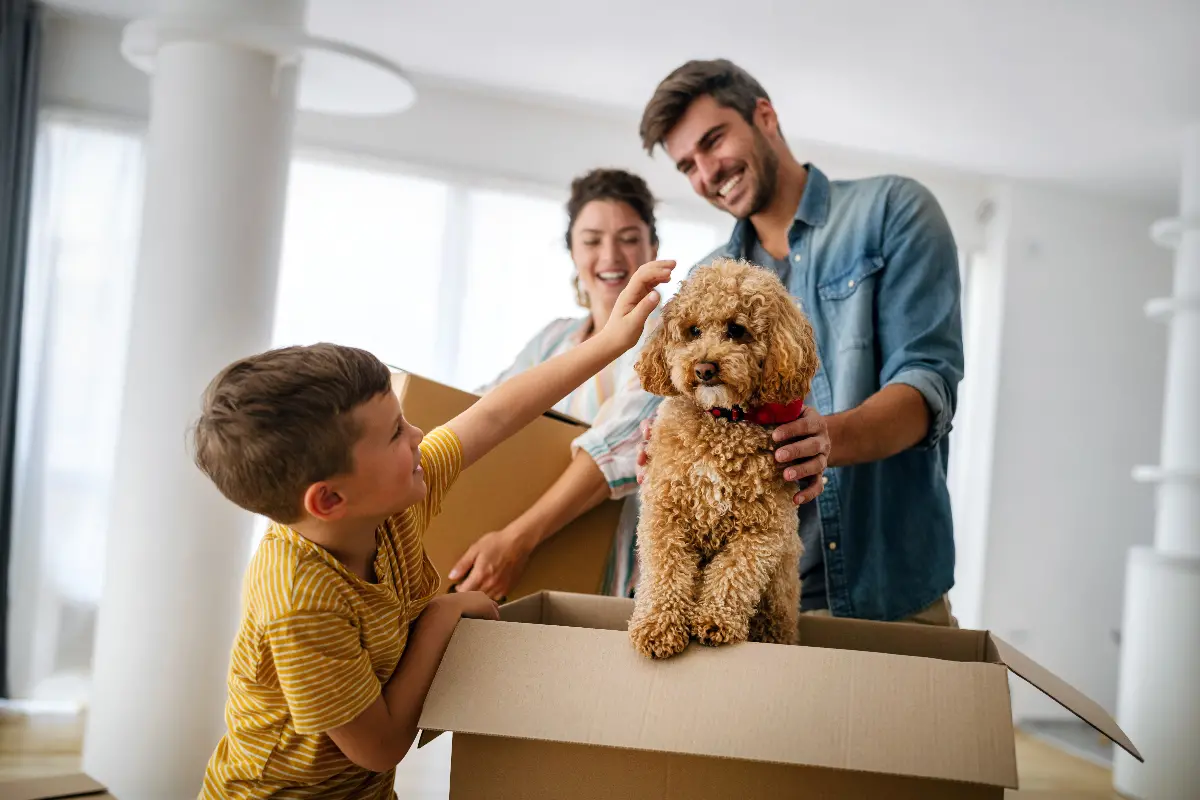 Helping Your Dog Transition During a Move