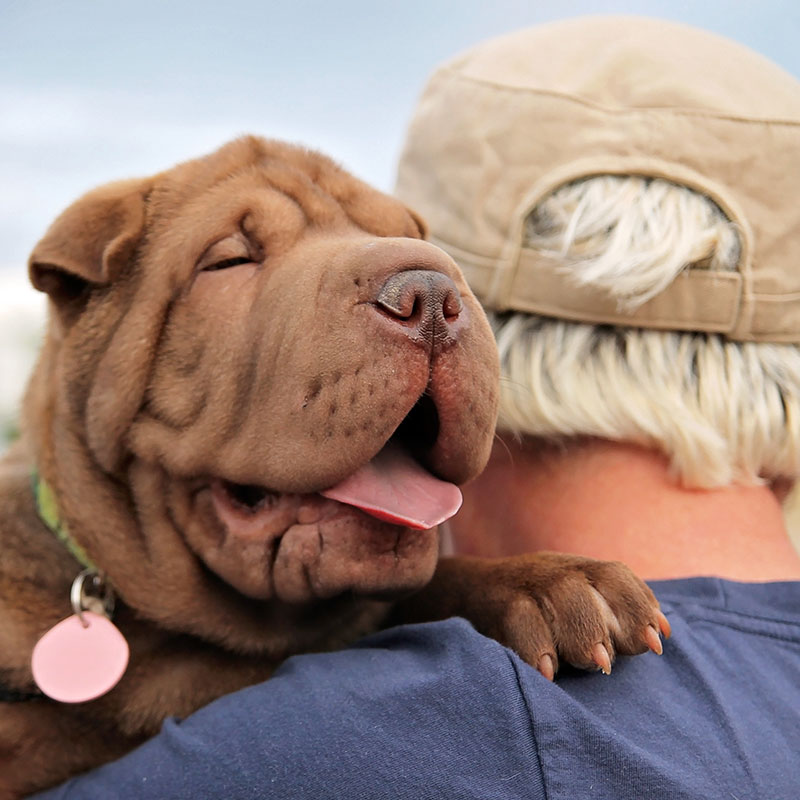 Bonding With Your New Dog
