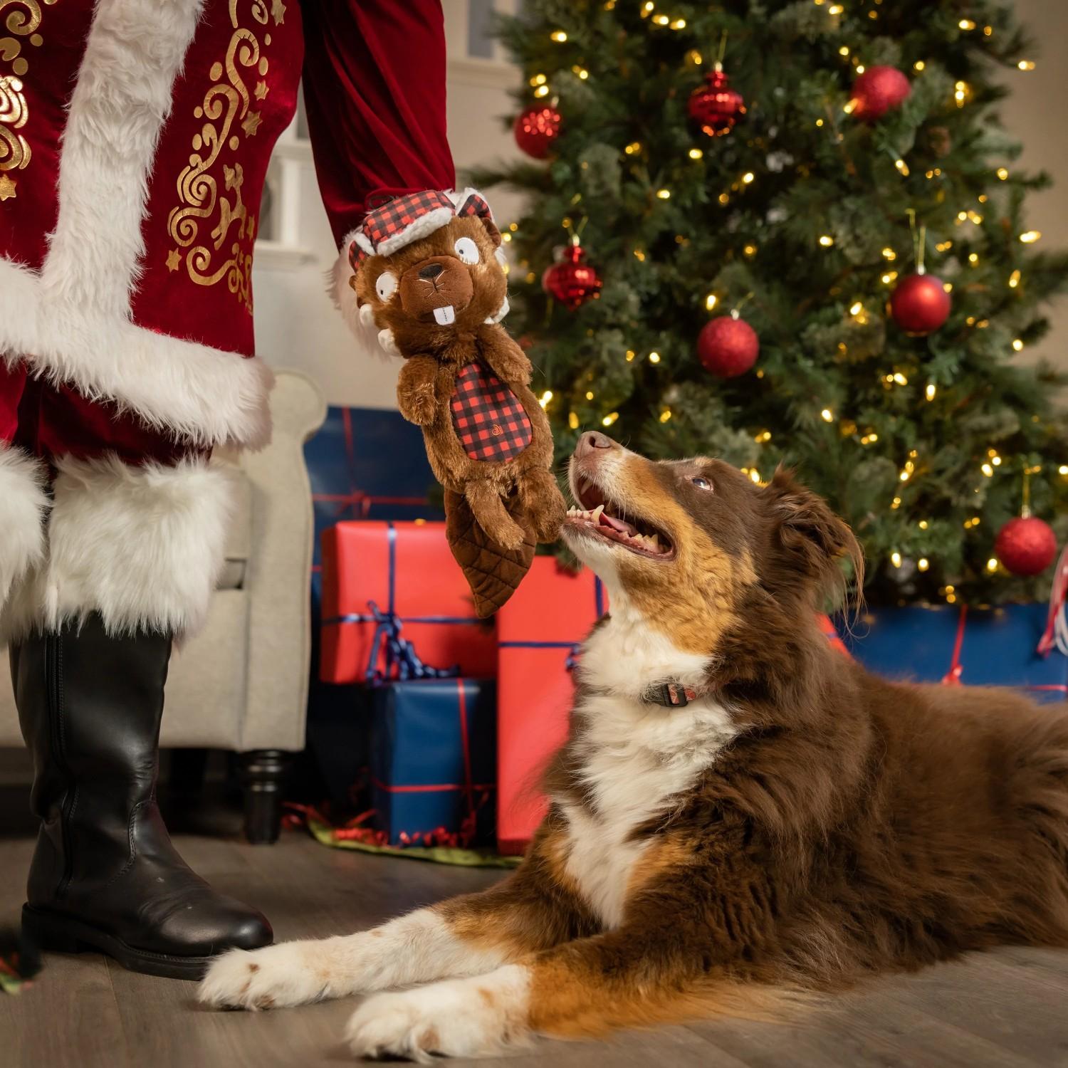 Treat Your Pup to These Festive Holiday Dog Toys