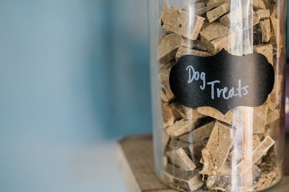 Beyond Basic Biscuits: Exploring Natural Gourmet Dog Treats