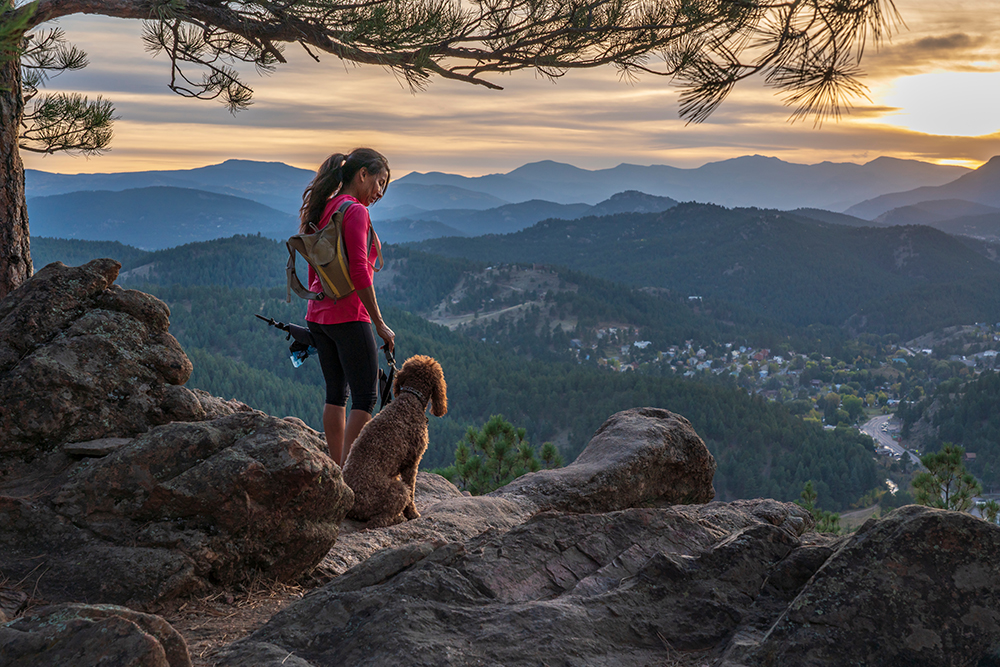 9 Tips for Hiking With Your Dog