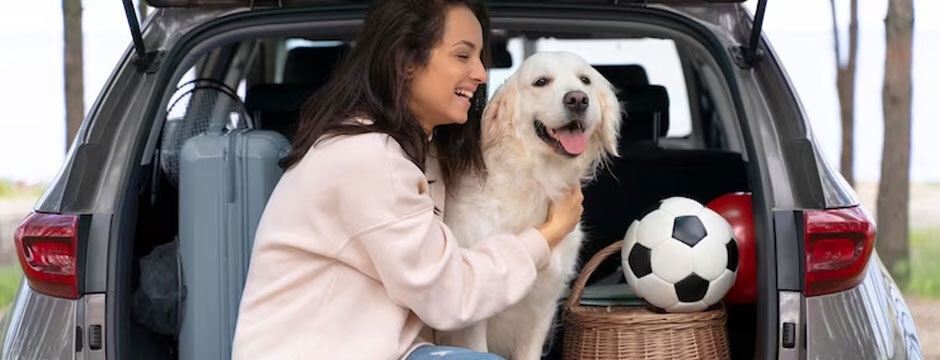 How to Keep Your Pet Safe During the Holidays: A Comprehensive Guide