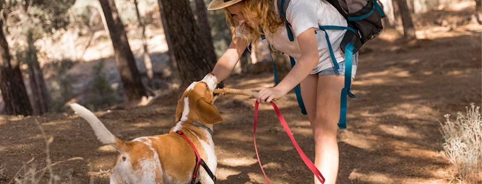 How to Find The Best Dog-Friendly Hiking Trails in Your Area