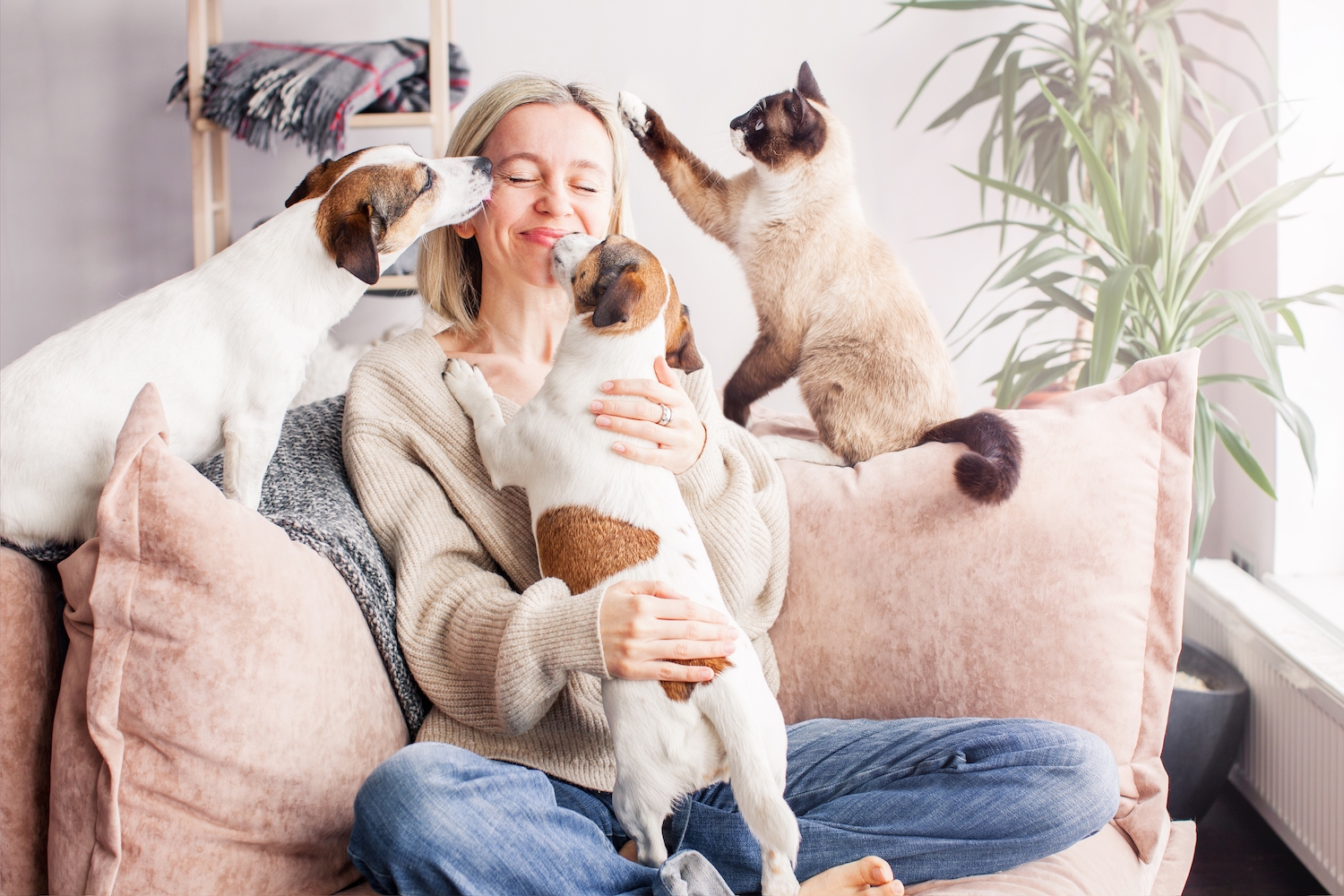 Sit, Stay: A Pet-Sitting Guide for Owners and Pet Caregivers 