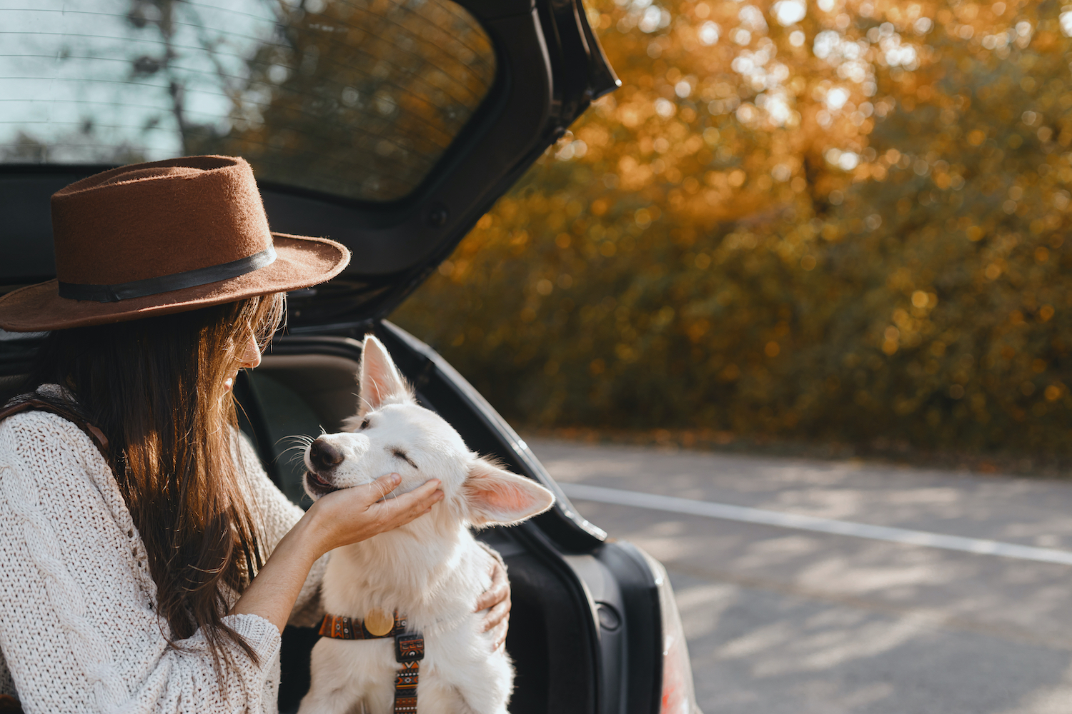 5 Holiday Road Trip Tips for You and Your Pet