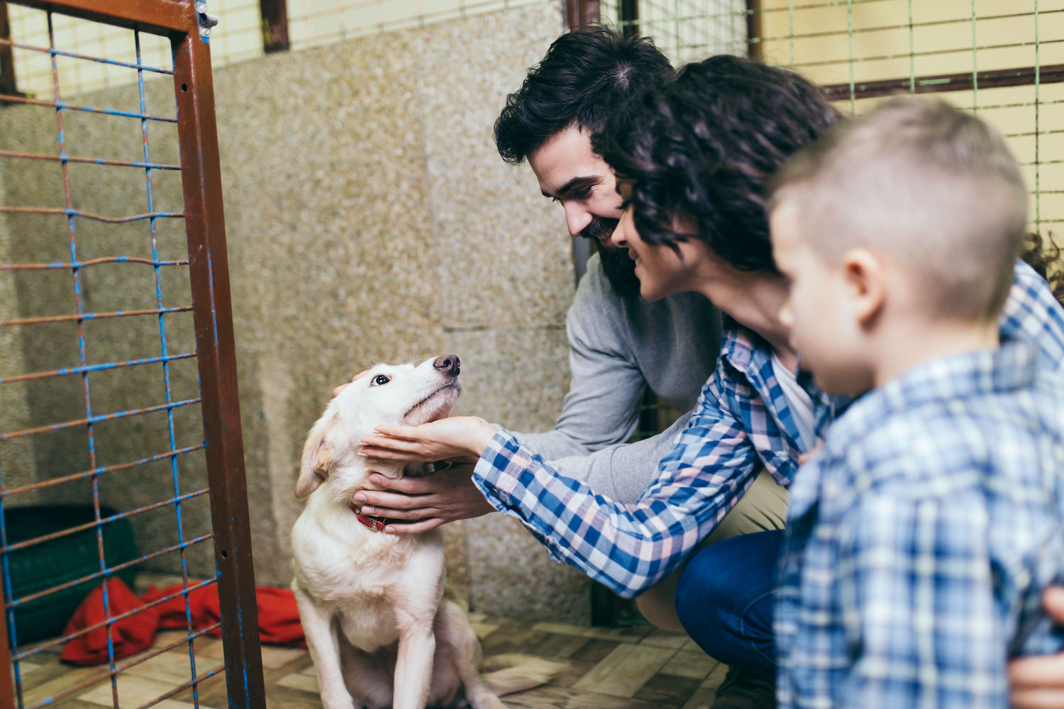 7 Tips for Adopting a New Pet