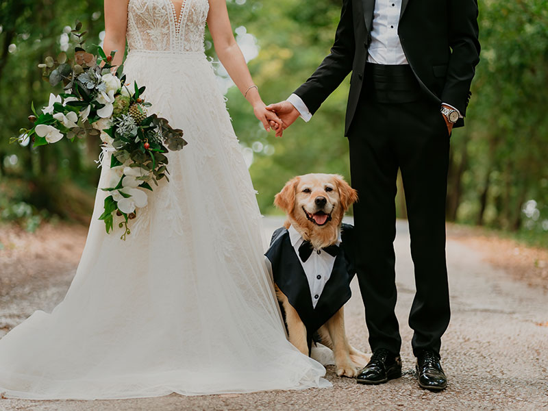 Include Your Dog in Your Wedding