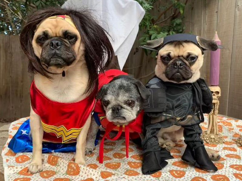 Howl-O-Ween: Superhero Costumes