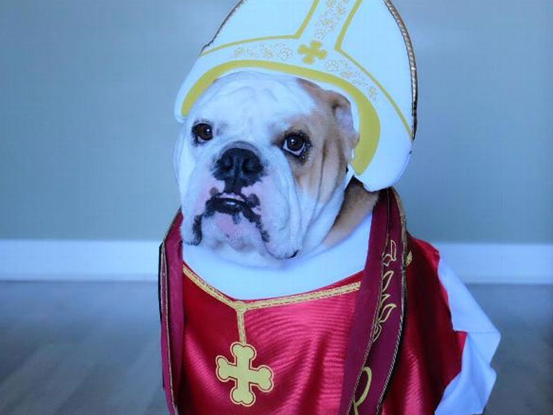 Howl-O-Ween: Career Costumes