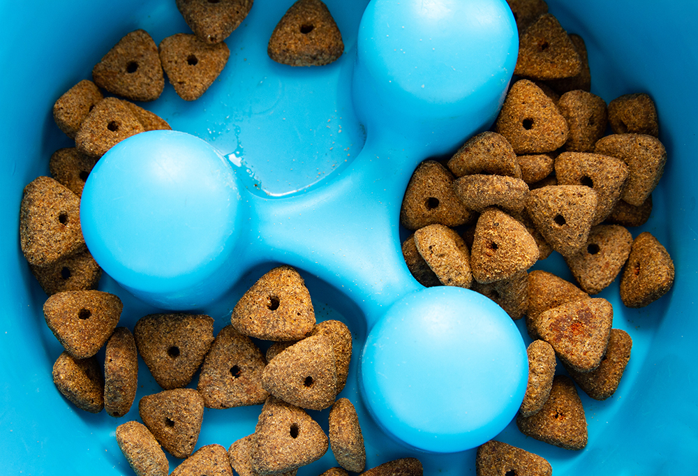 Could Your Dog Benefit From a Slow Feeder?
