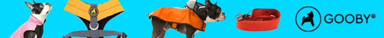 Shop Dog Shirts