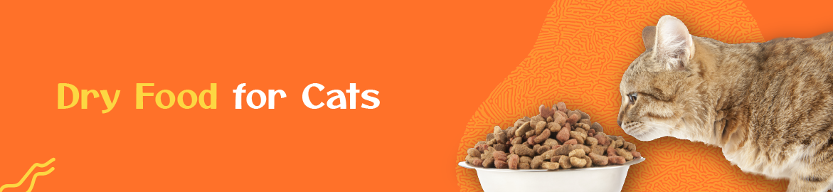 Dry Cat Food