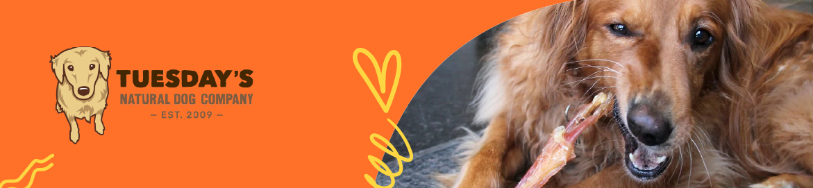 Shop Tuesday's Natural Dog