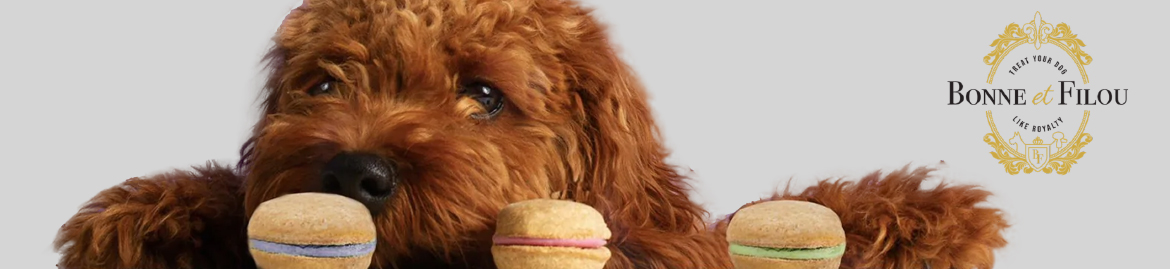 Shop Dog Toys