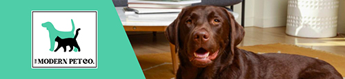 Shop Dog Bowls & Feeders