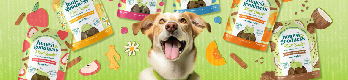 Shop Dog Treats