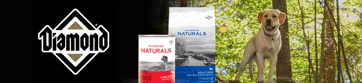 Shop Diamond