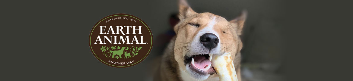 Shop Fetch Dog Toys