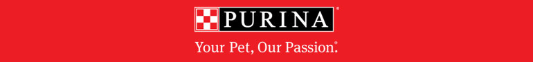 Shop Dry Cat Food