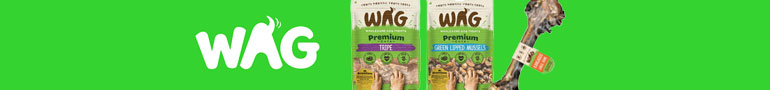 Shop Jerky Treats