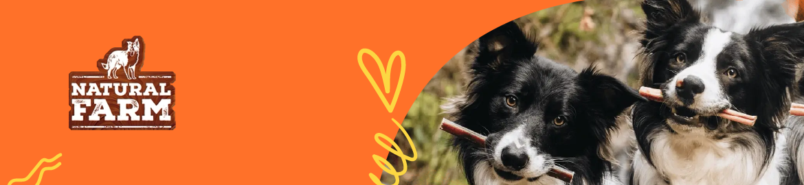 Shop Bones, Bully & Natural Chews