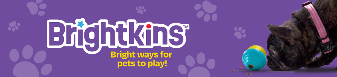 Shop Interactive and Treat Dog Toys
