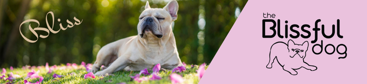 Shop The Blissful Dog