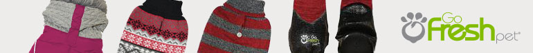 Shop Dog Bowls & Feeders