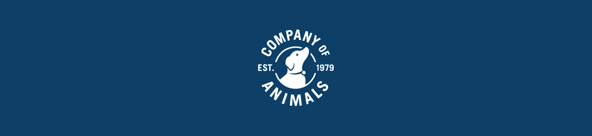 Shop Dog Behavioral Training