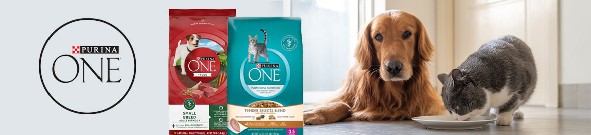 Shop Dry Cat Food