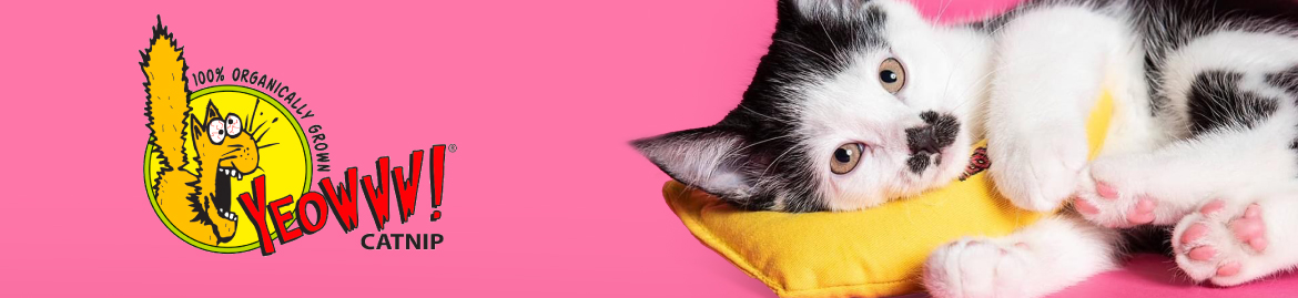 Shop Catnip & Pet Grass