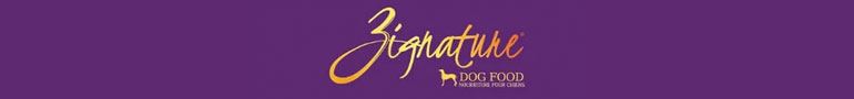 Shop Dry Dog Food