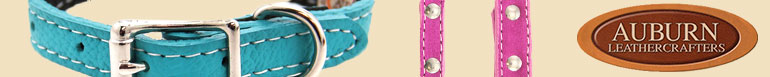 Shop Dog Collar Charms