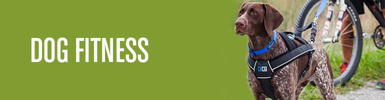 Dog Fitness