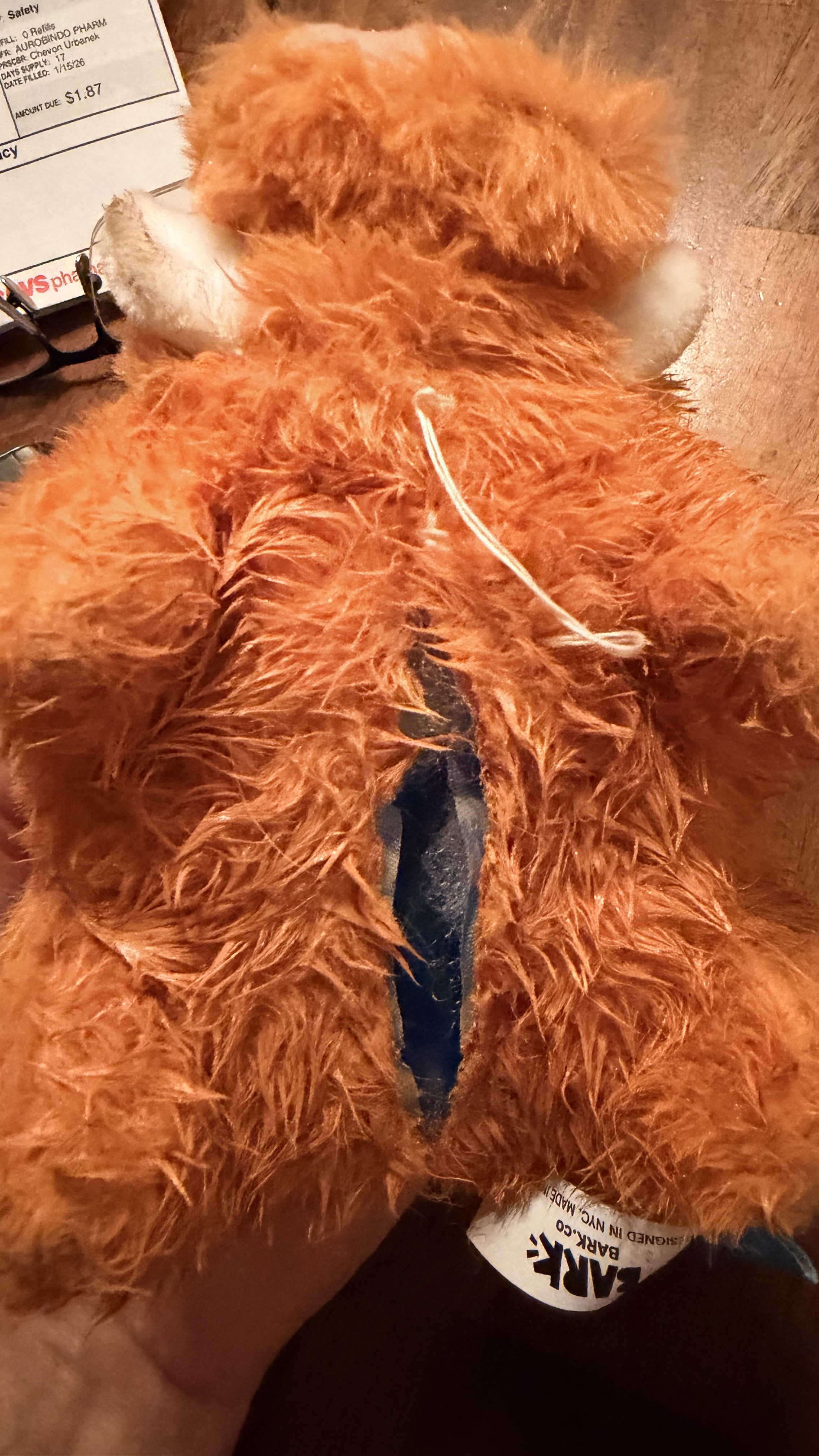 BARK Plush Dog Toy - Beau The Boar - Review Image 1